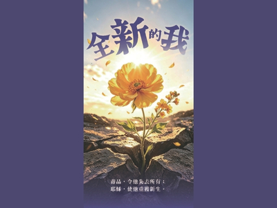 全新的我